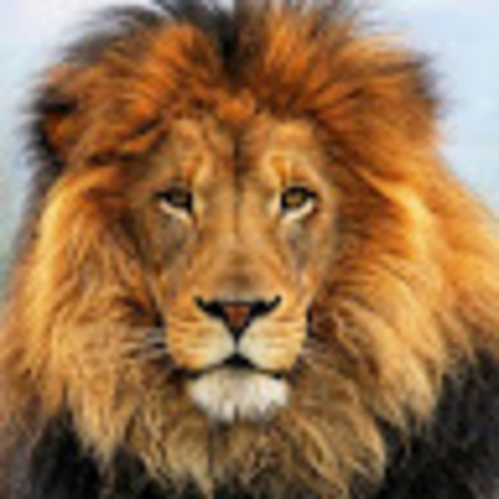 Meet your Posher, Roli